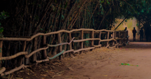 lahore safari park featured image